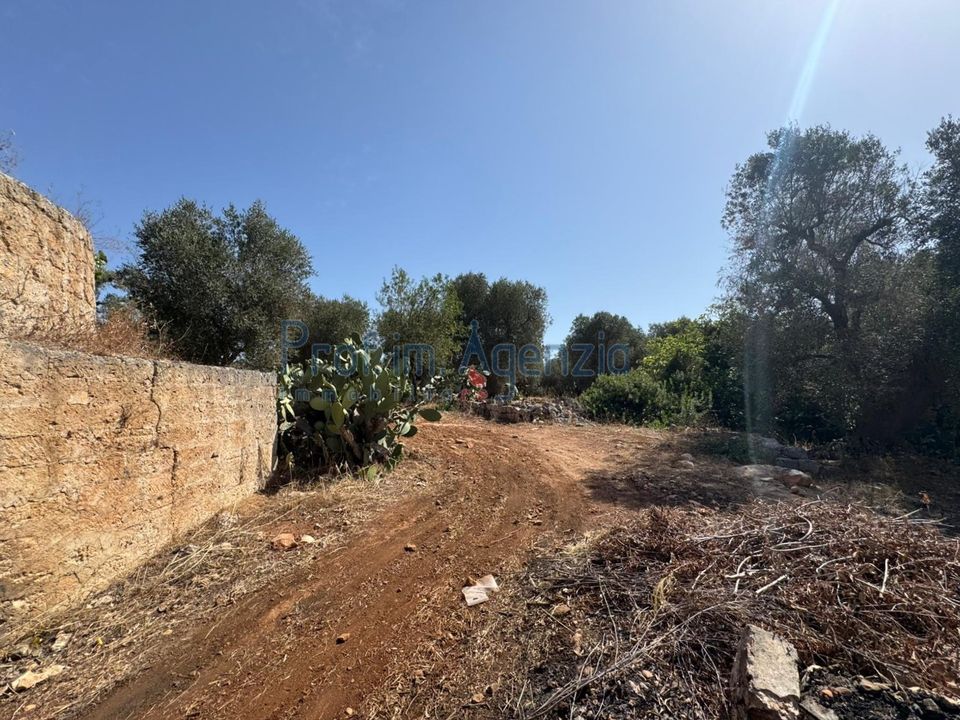 Farm hus i Ostuni, Brindisi - foto 2